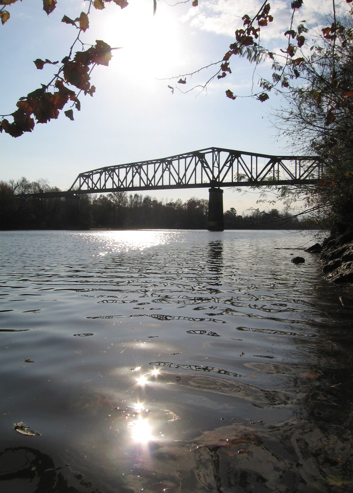 The Black Warrior River running through Tuscaloosa