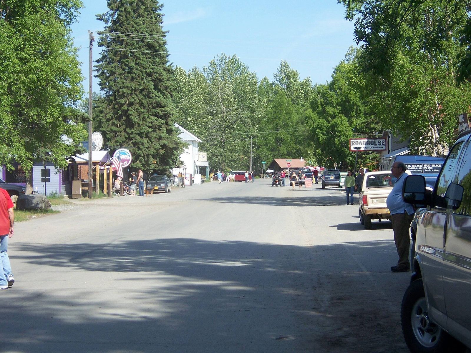 A tree-lined main street in downtown Talkeetna with small shops and parked cars on a sunny day