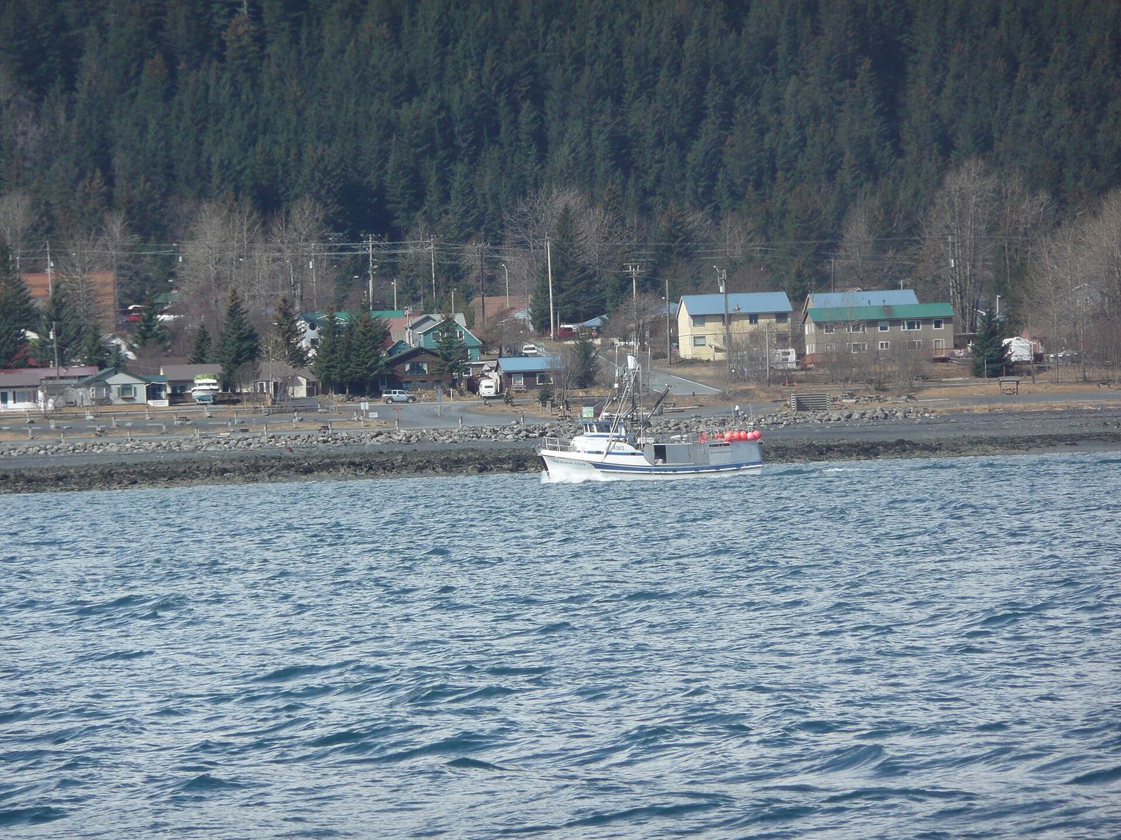 A boat on Resurrection Bay in front of the forested shoreline and buildings of Seward