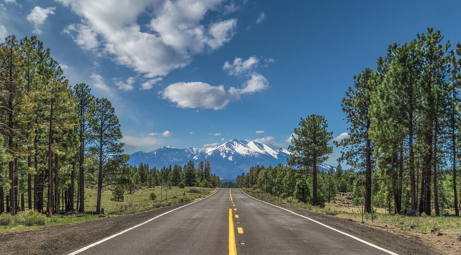 A two-lane highway lined with tall pines running toward the snowcapped San Francisco Peaks near Flagstaff