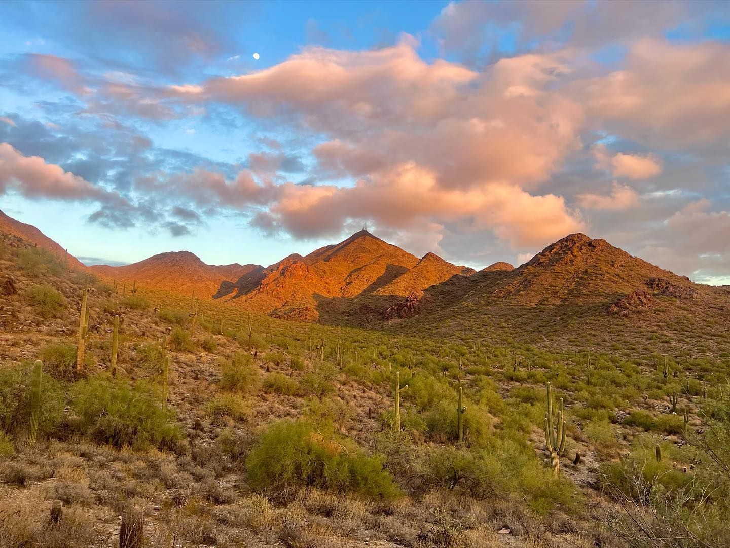 Thompson Peak and the McDowell Mountains glowing at sunset above the desert, seen from the Bell Pass Trail
