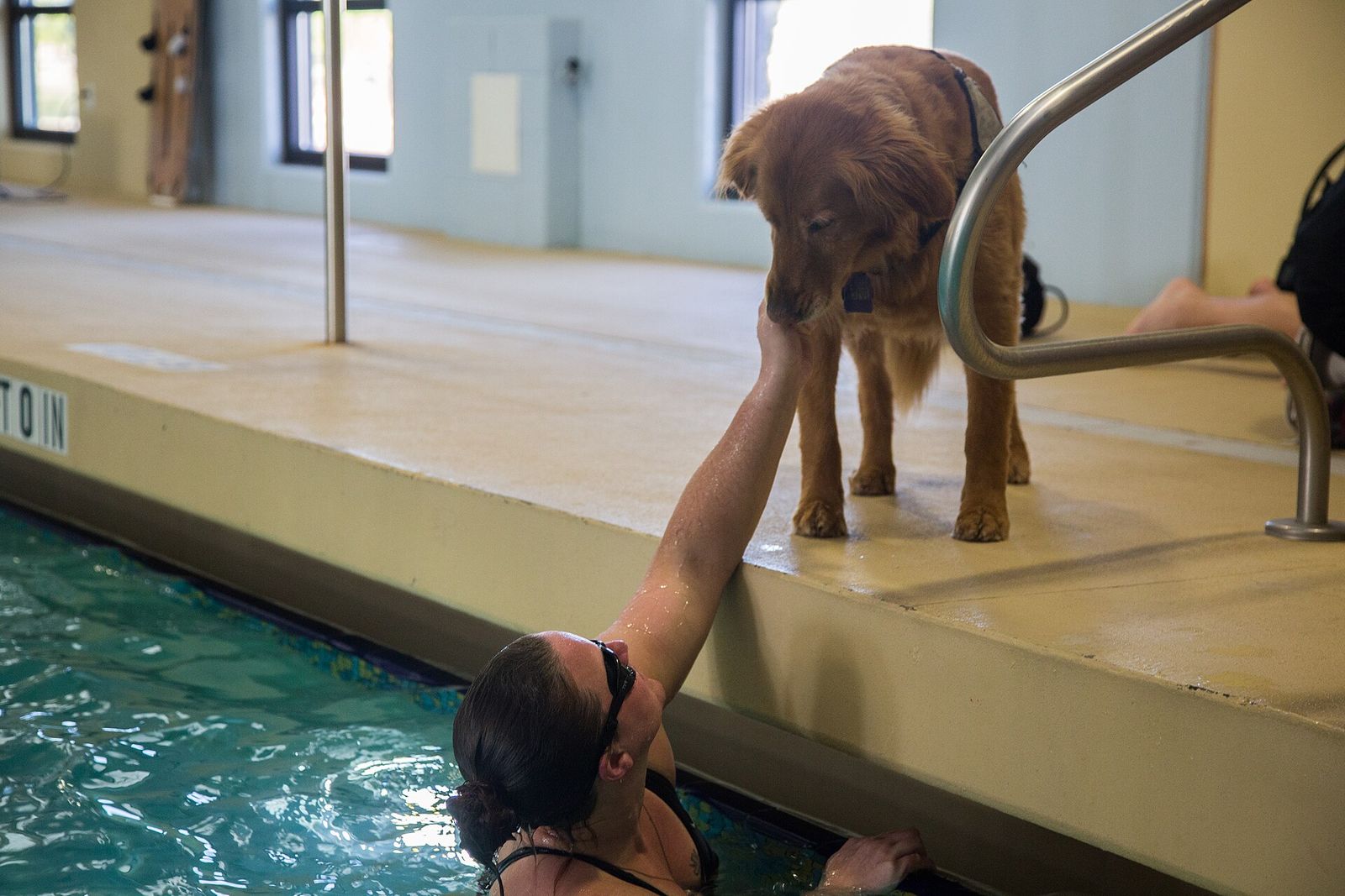 A U.S. Army veteran in a pool with her service dog standing on the deck beside her during the 2017 Army Trials at Fort Bliss
