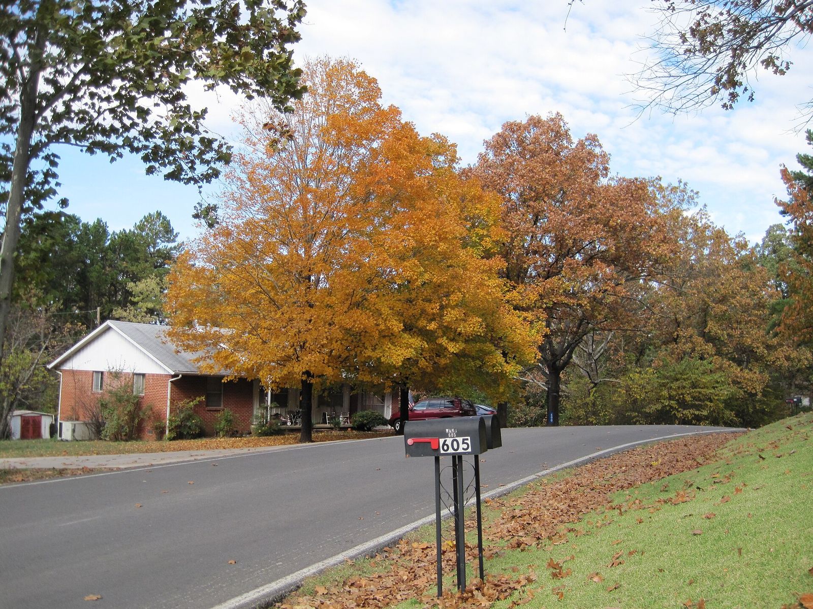 A house and autumn trees along Josephine Street in Batesville, Arkansas