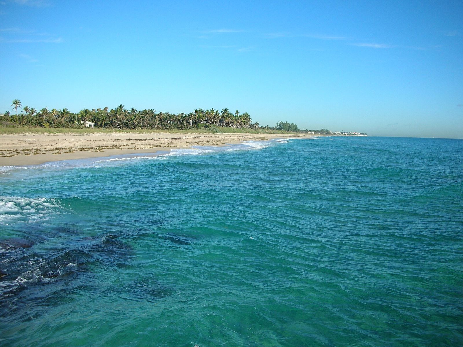 Turquoise water breaking over the shallows at the Boynton Beach Inlet, with a palm-lined beach curving away to the north