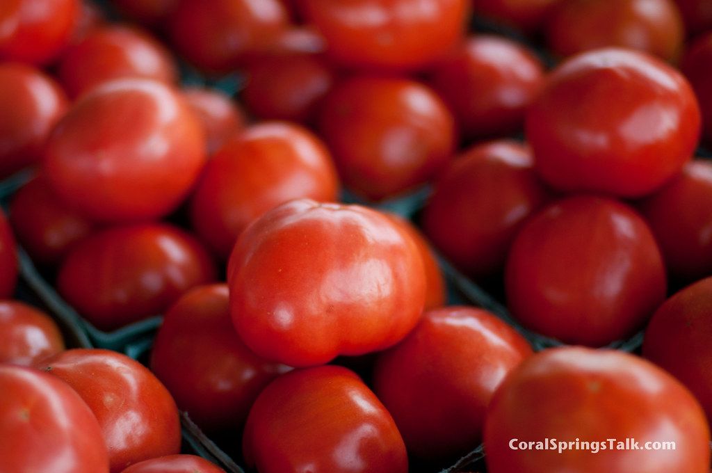 Fresh tomatoes for sale at a Coral Springs green market