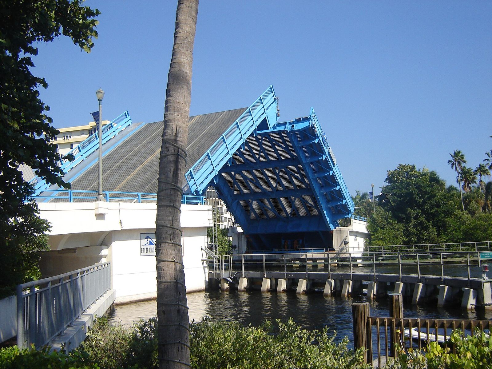 Both leaves of the Atlantic Avenue bascule bridge raised over the Intracoastal Waterway in Delray Beach, beside a palm