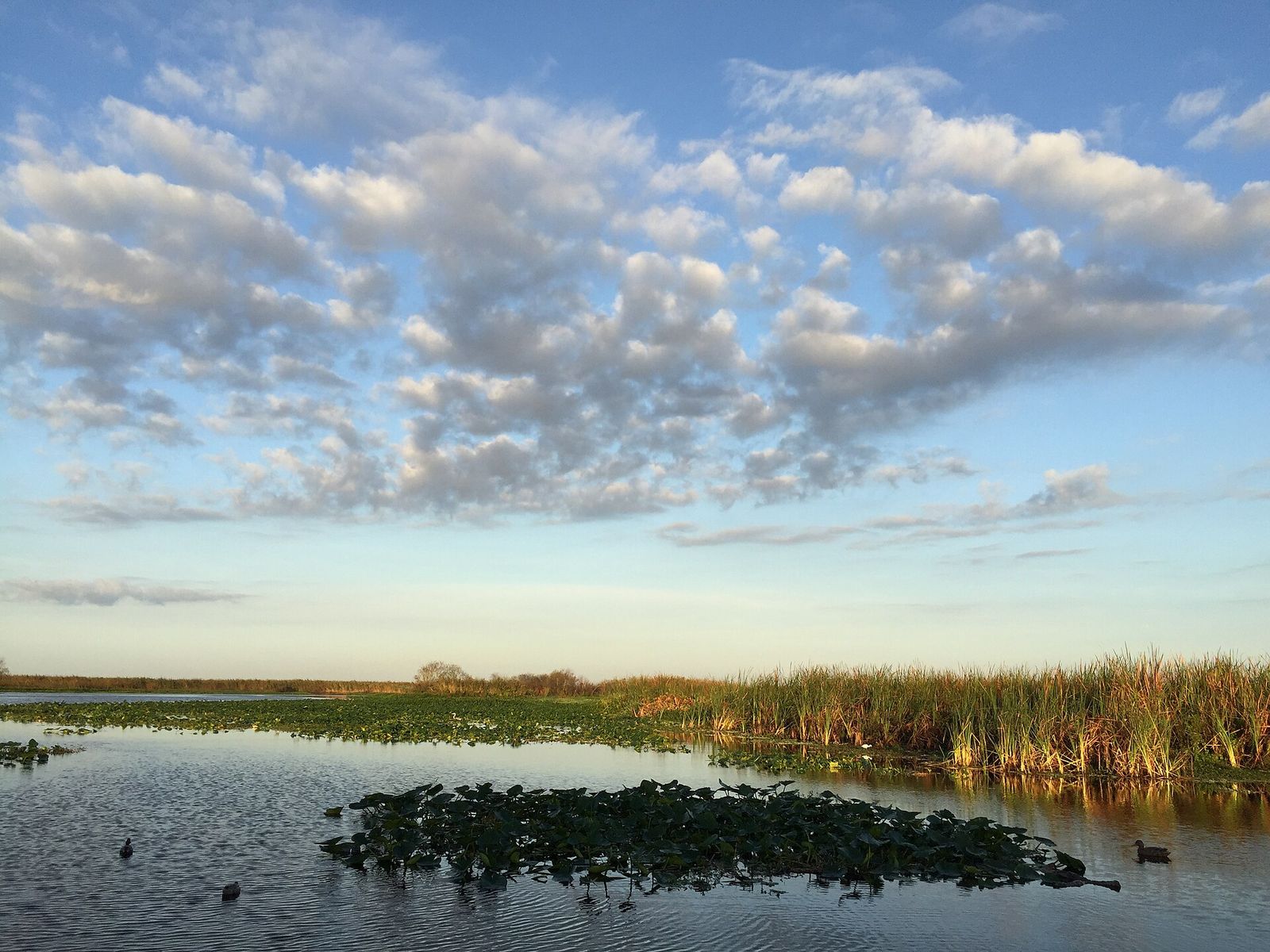 Lake Monroe on the St. Johns River south of Deltona