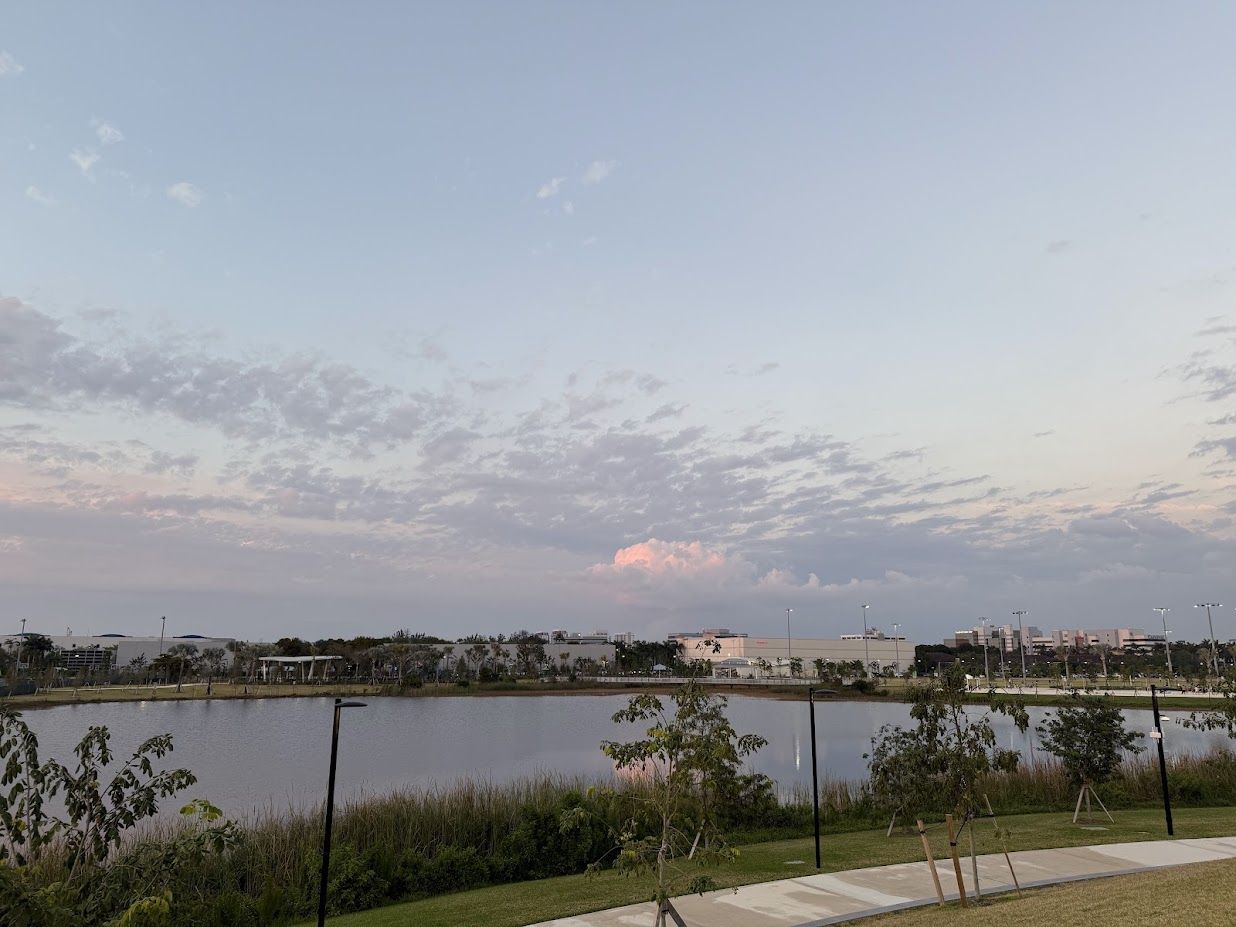 Doral Central Park in the late afternoon, a lake ringed with young trees under a pale sky