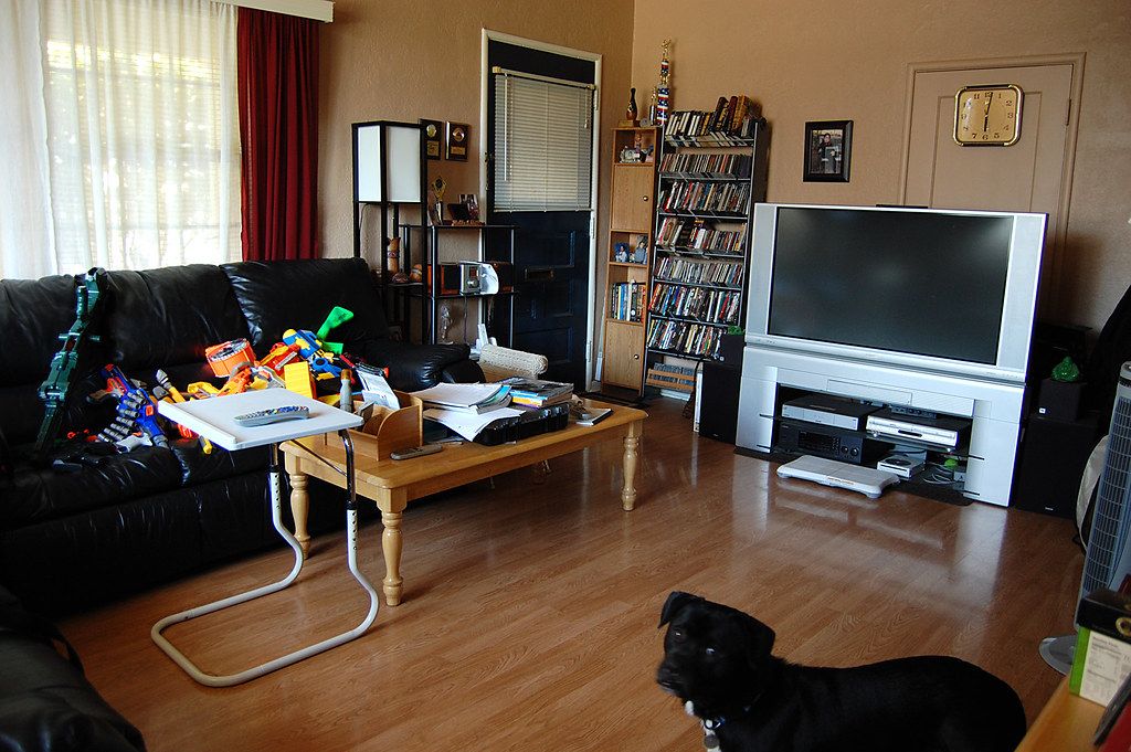 A lived-in apartment living room with a small dog near the sofa