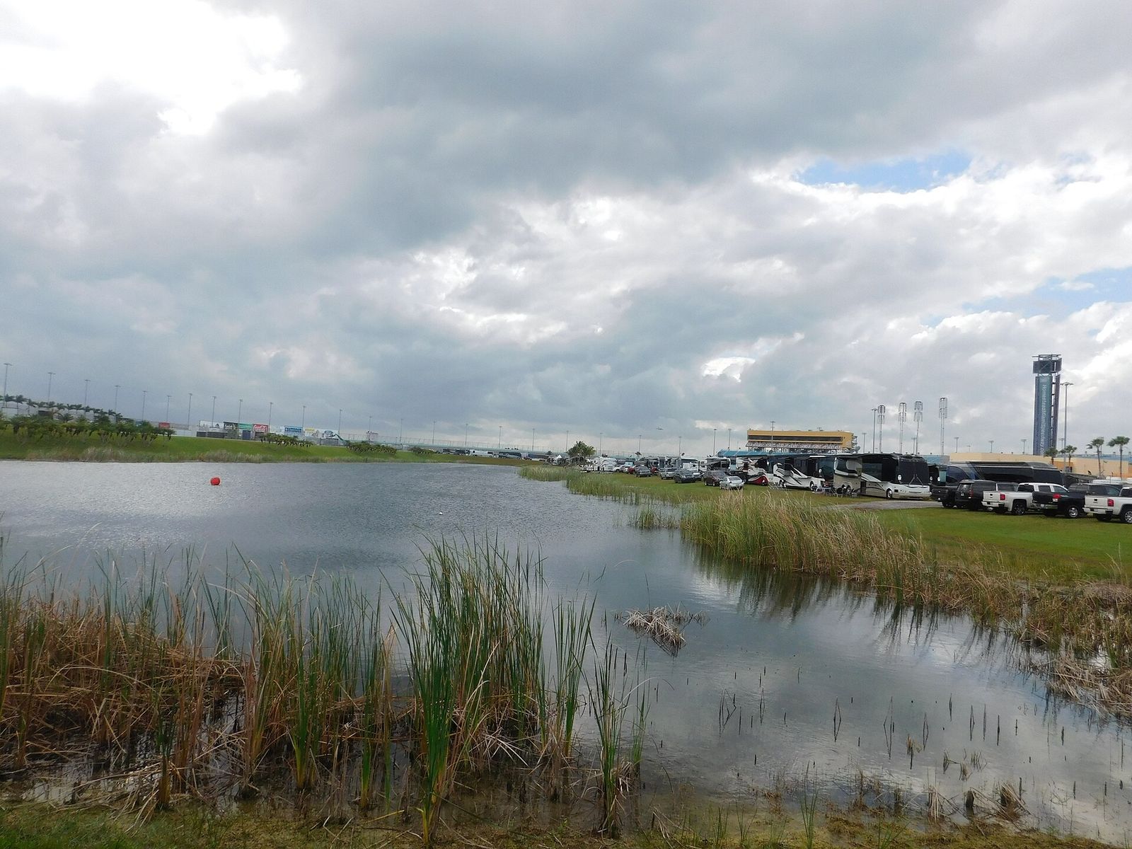 A reed-lined lake inside the infield of Homestead-Miami Speedway, with the grandstands and timing tower beyond