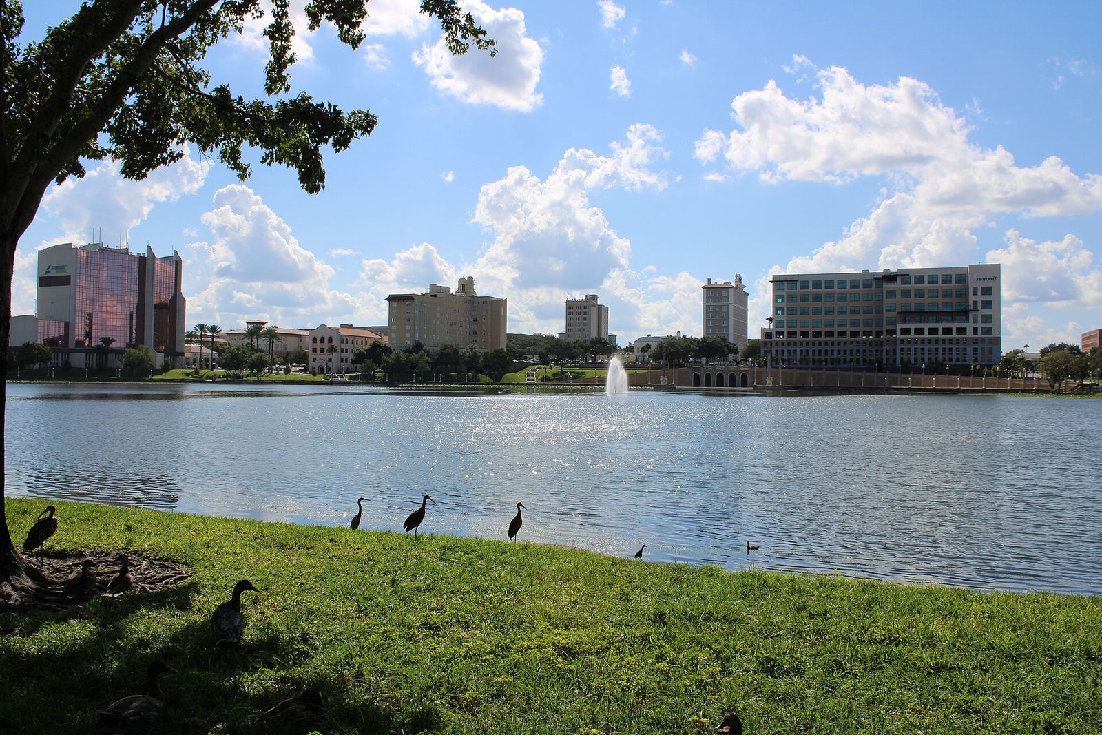 Lake Mirror in downtown Lakeland with the skyline across the water
