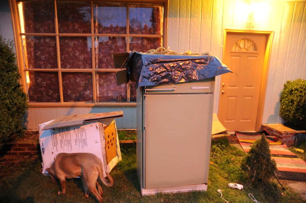 The front yard of a newly rented house at dusk