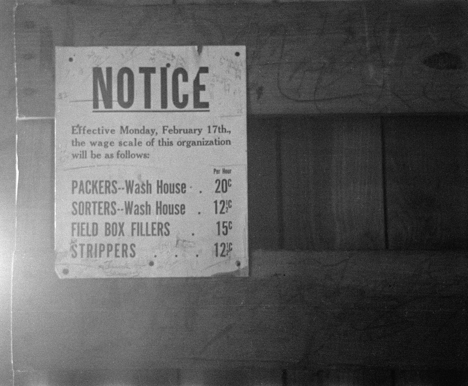 A 1937 notice on a wall in Sanford listing cent-per-hour wages for celery packers, sorters, field box fillers and strippers