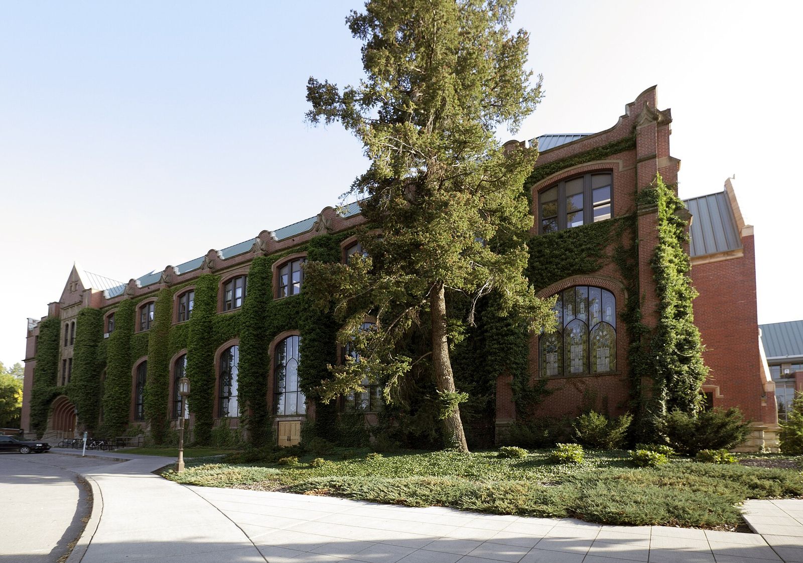 The ivy-covered brick Administration Building of the University of Idaho in Moscow, beside a tall pine