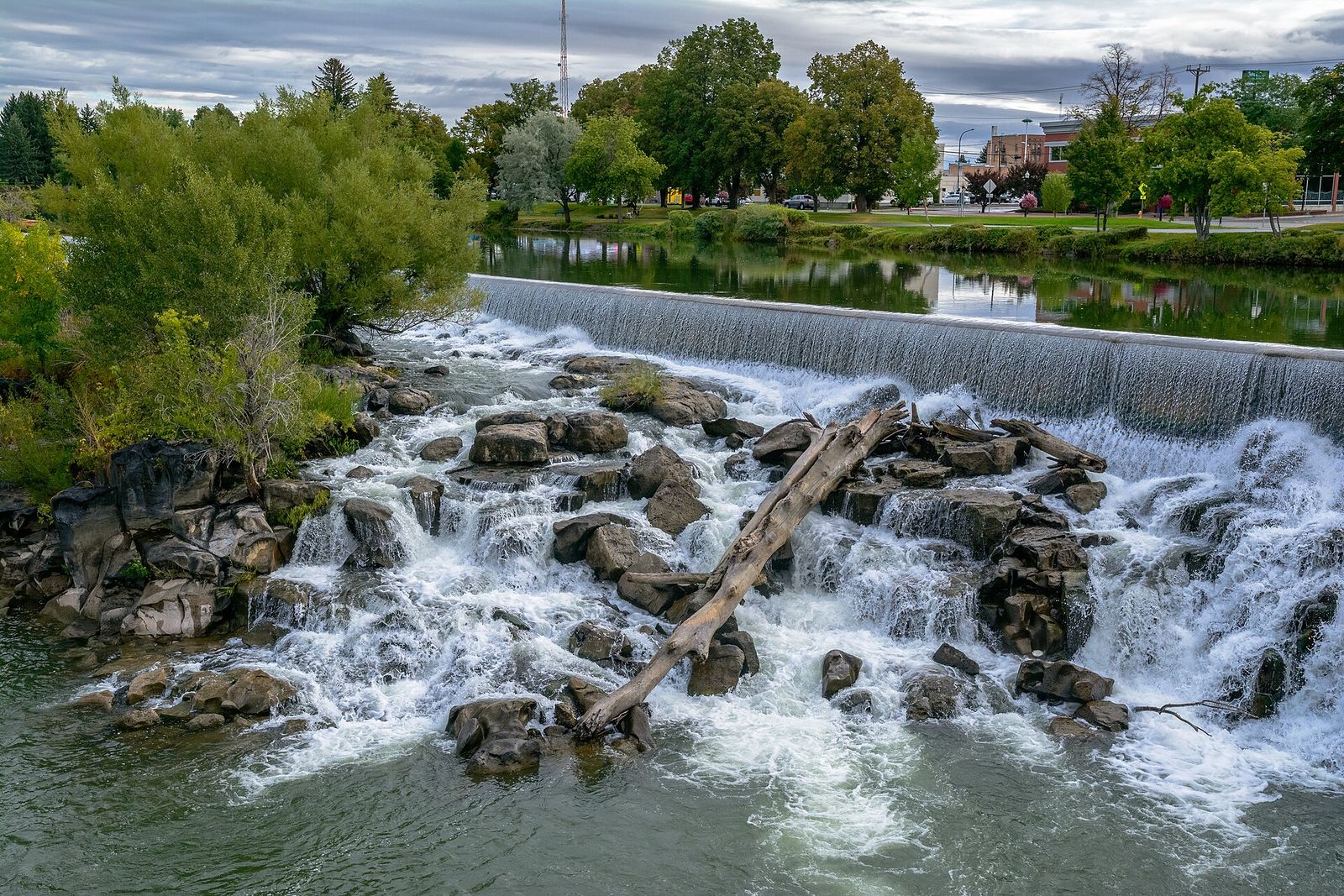 Water pouring over the rocks of the falls on the Snake River in Idaho Falls, with trees along the bank