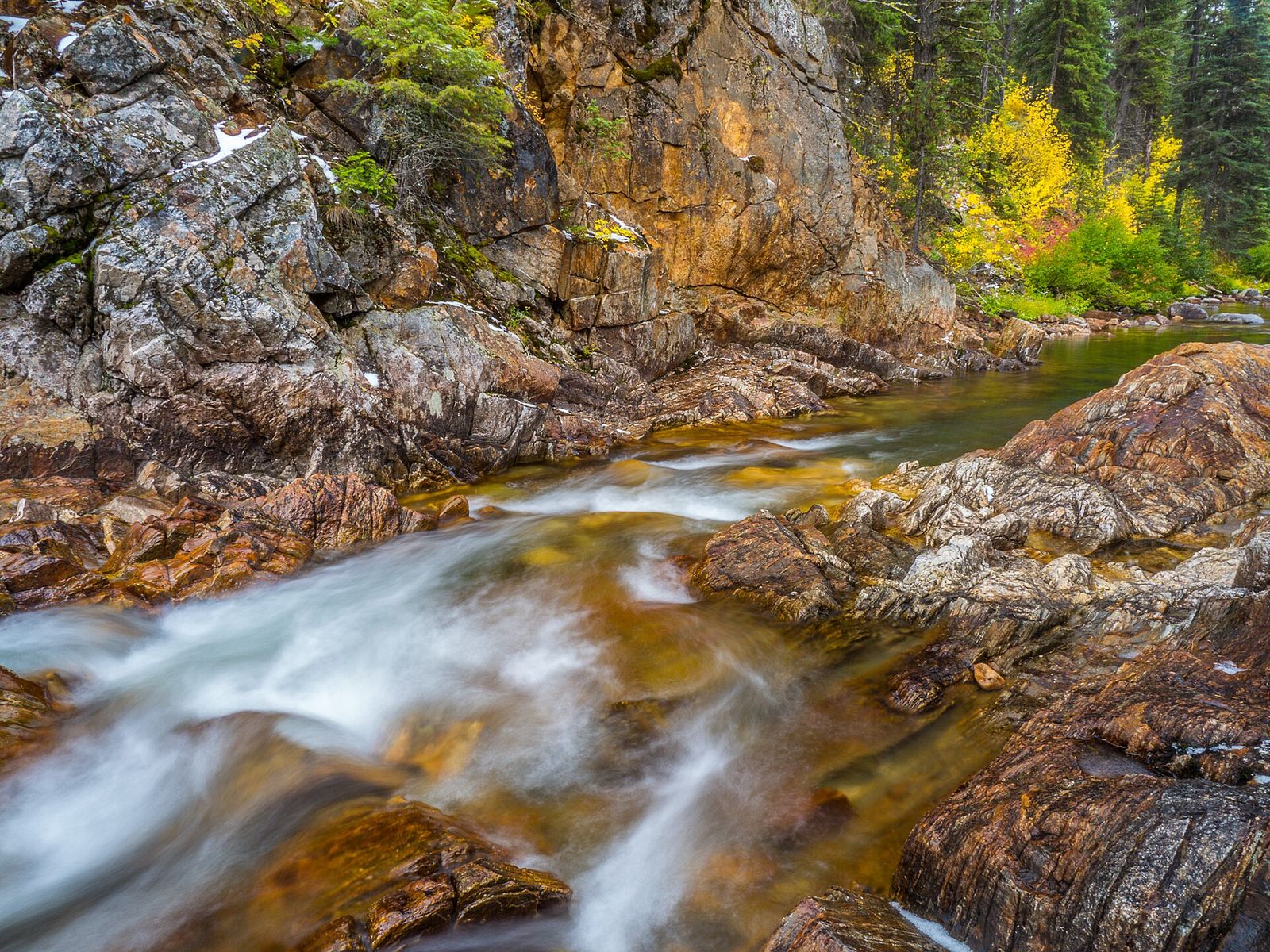 A clear creek tumbling over smooth rocks beneath autumn trees in the Payette National Forest