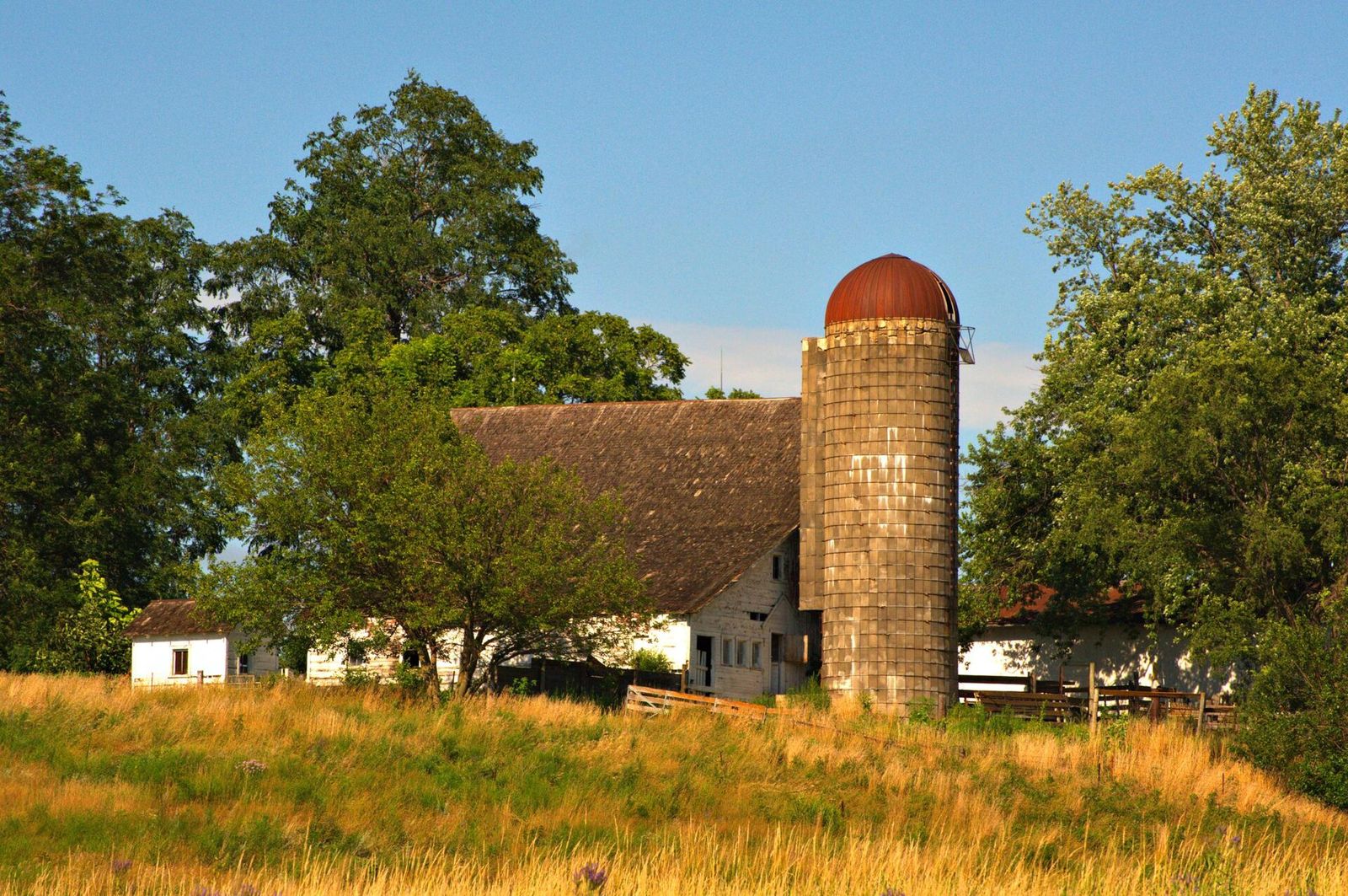 An old barn and a tall tile silo among green trees near Ankeny, Iowa