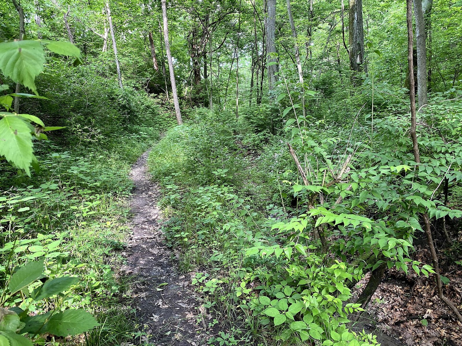 Walking trails behind the Dwight D. Eisenhower VA Medical Center campus in Leavenworth