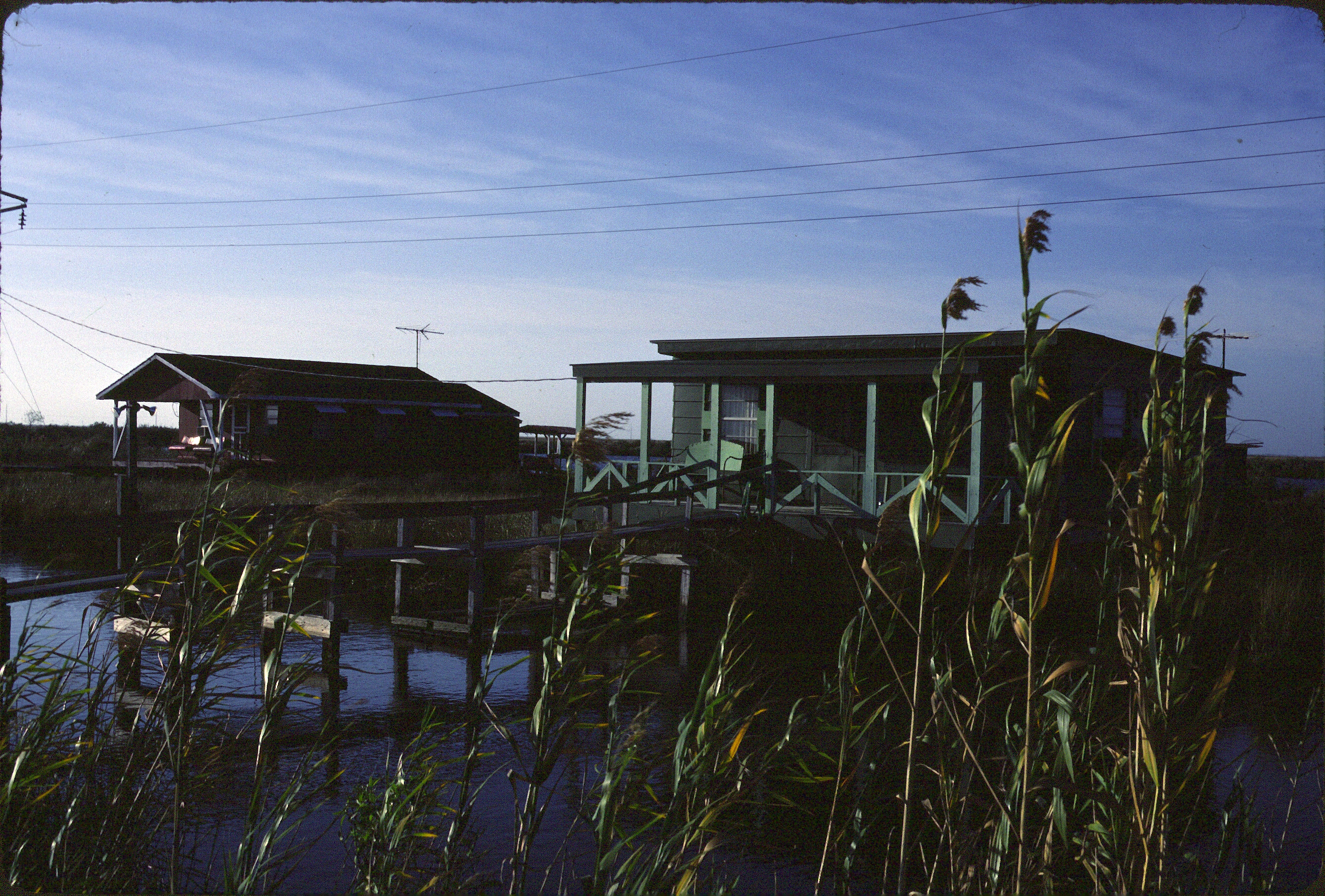 Louisiana bayou visual for Alexandria ESA and PSD evaluation documentation
