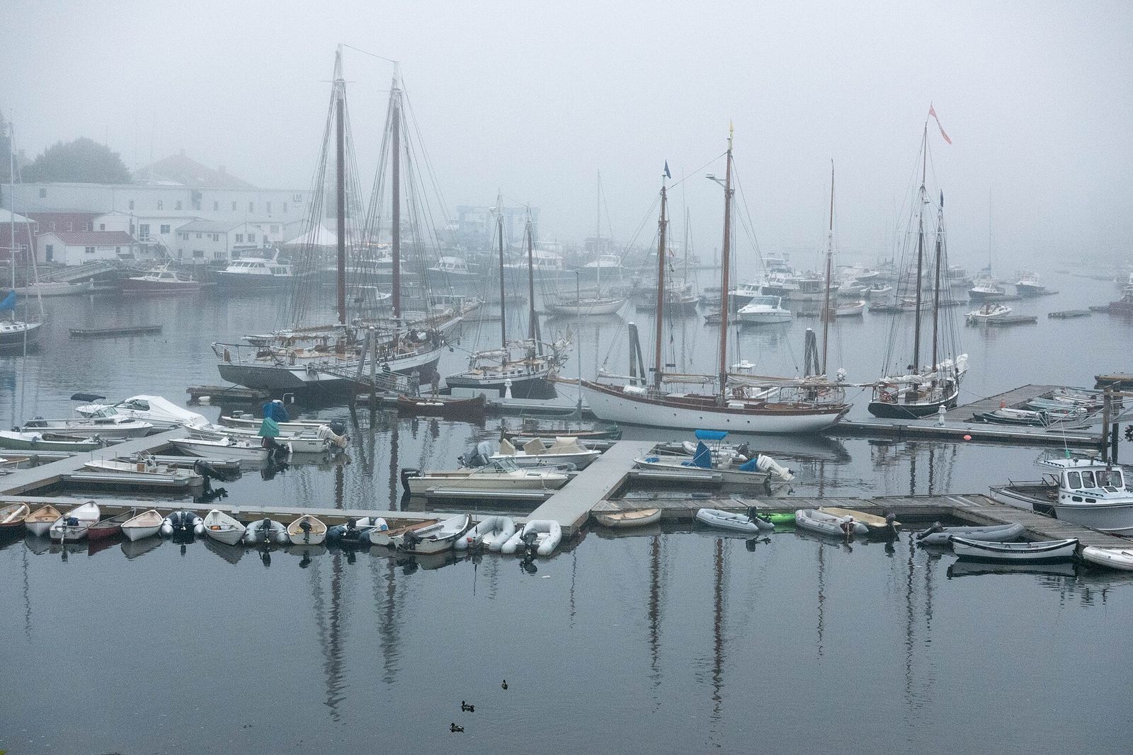 Schooners and small boats moored in a calm Maine harbor on a foggy morning