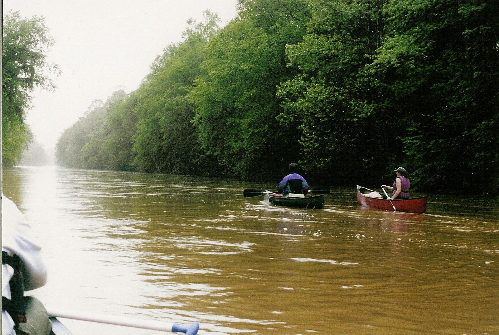 Paddlers on the Wolf River in Germantown, Shelby County