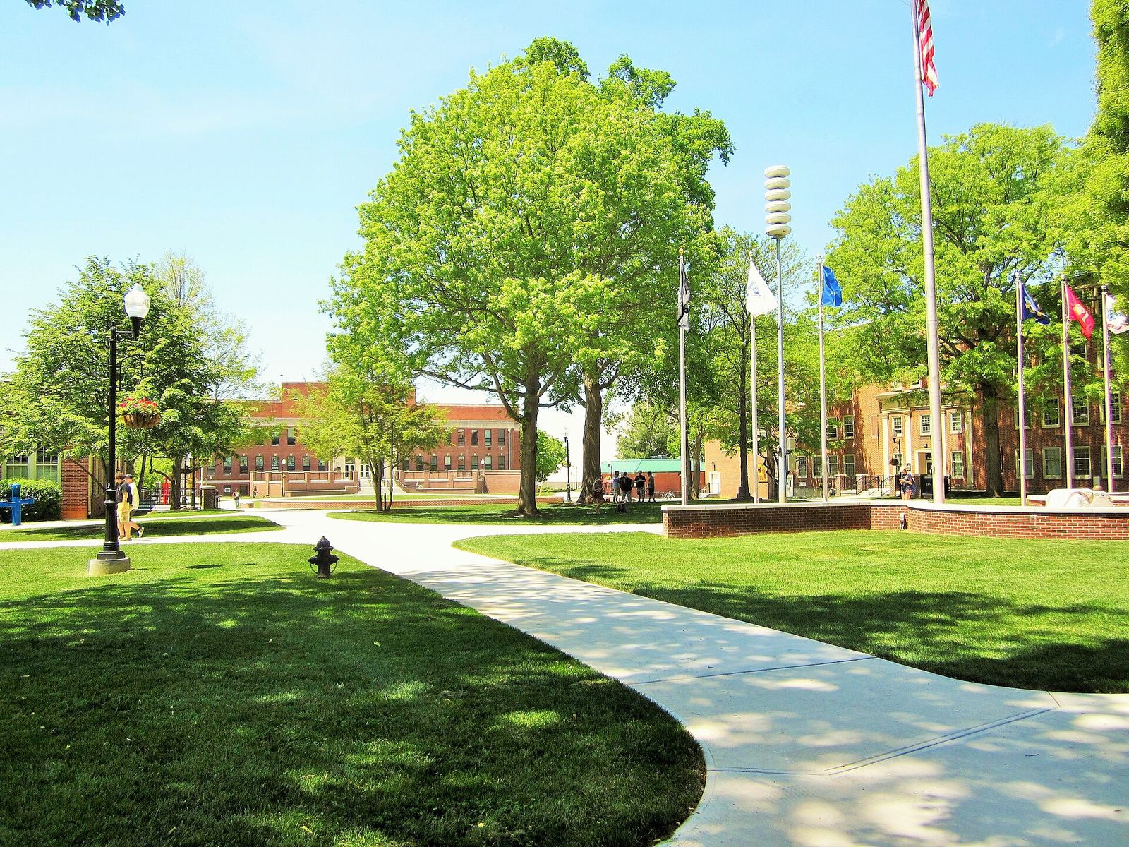 Trees and walkways on the East Tennessee State University quad
