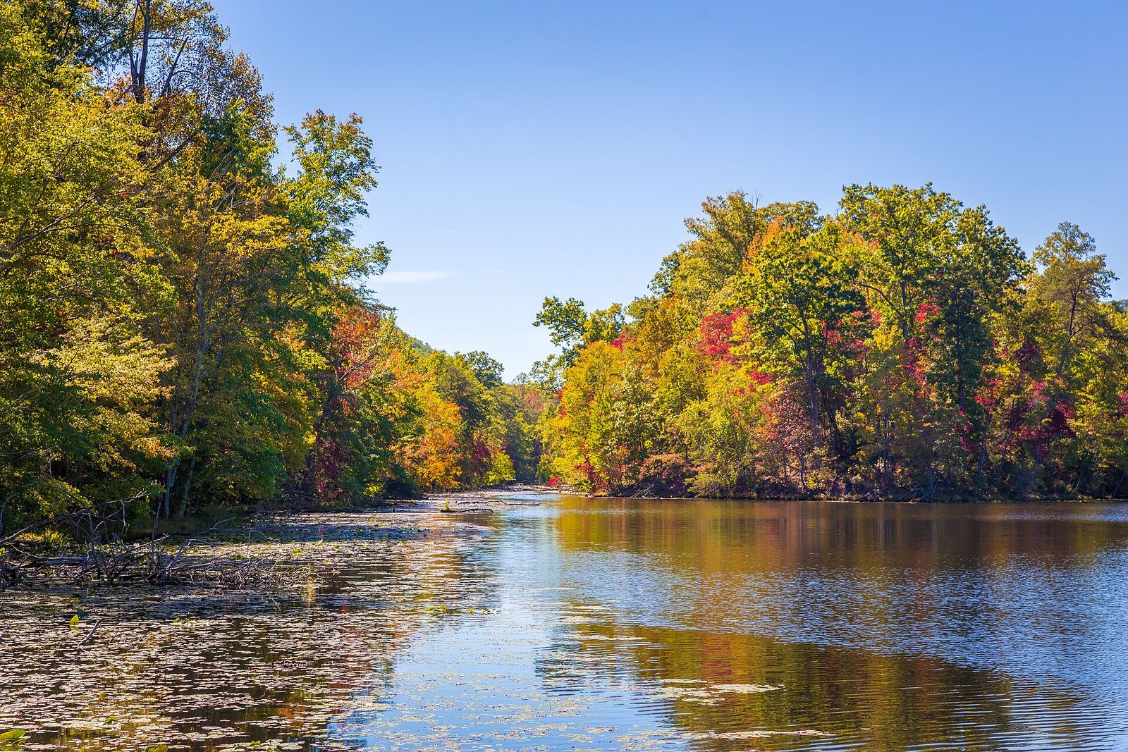 Autumn trees reflected in the reservoir at Bays Mountain Park