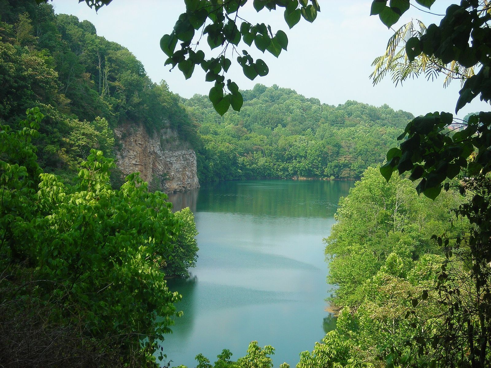 Mead's Quarry lake surrounded by trees at Ijams Nature Center