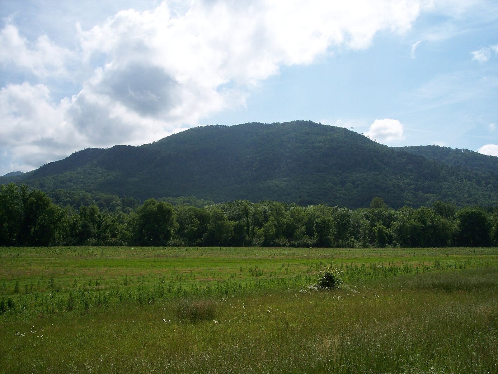 The forested eastern section of Chilhowee Mountain above an open field