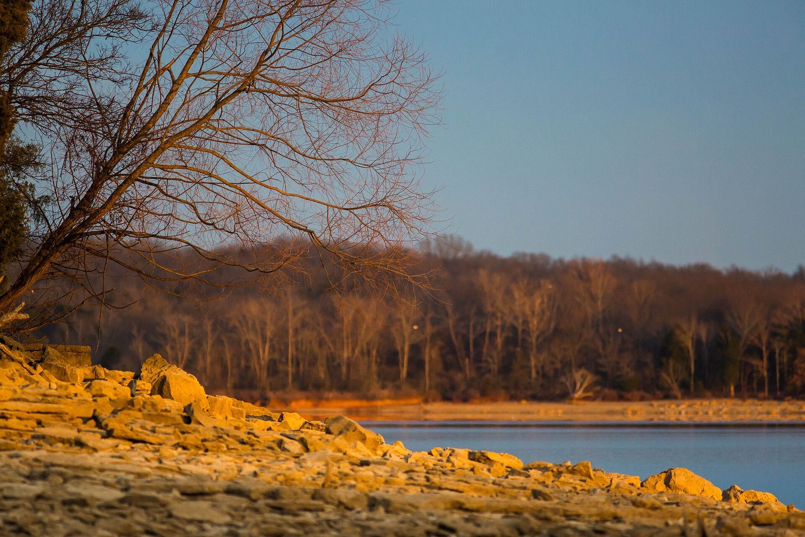 Golden light on the rocky shore of Percy Priest Lake