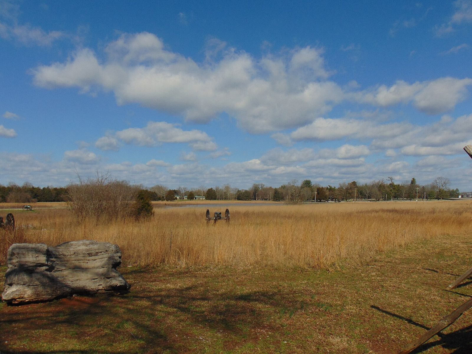 Open fields and trees at Stones River National Battlefield in spring