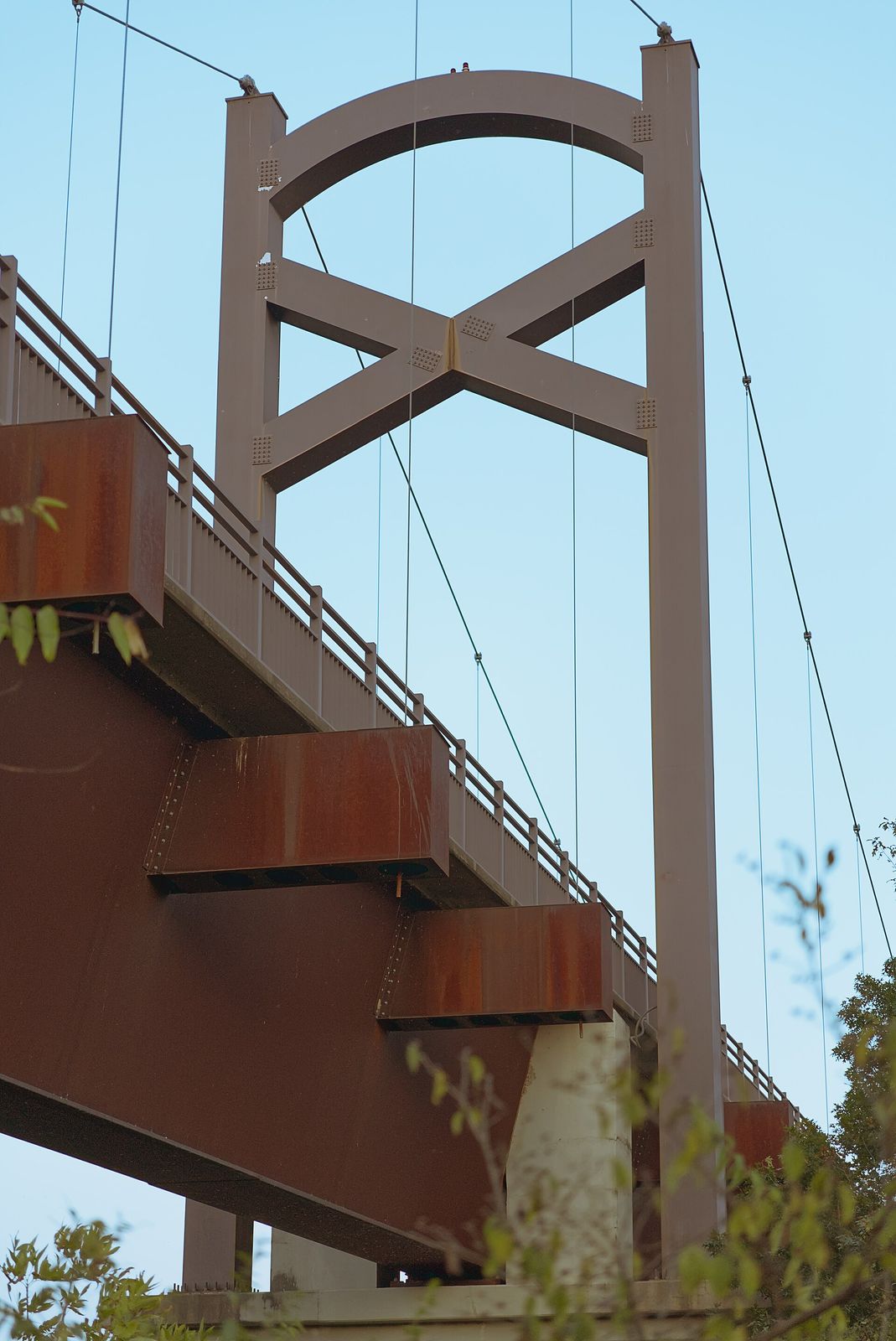 The Cumberland pedestrian bridge in Nashville