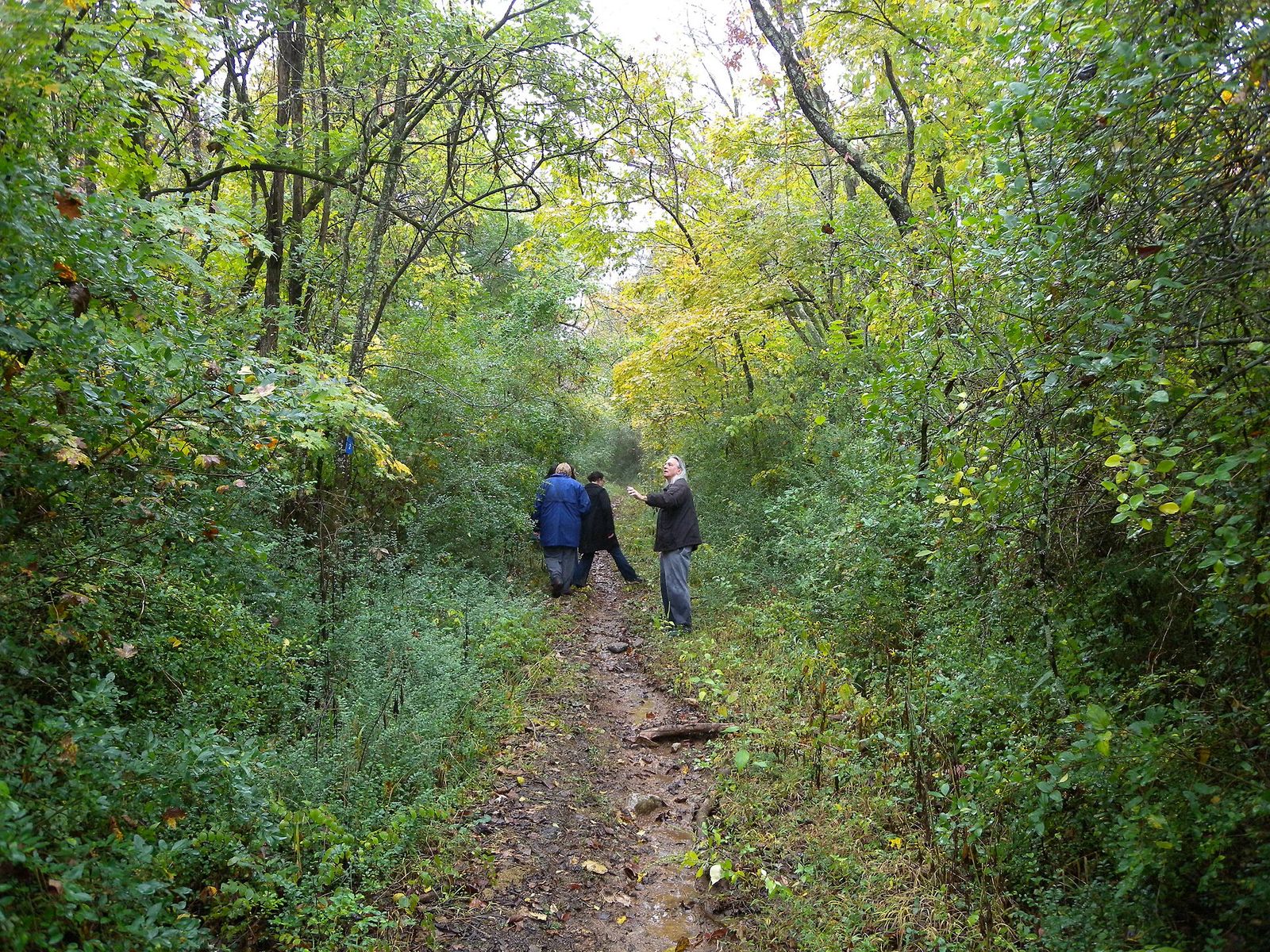 Walkers on the wooded Old Jefferson Trail in Smyrna