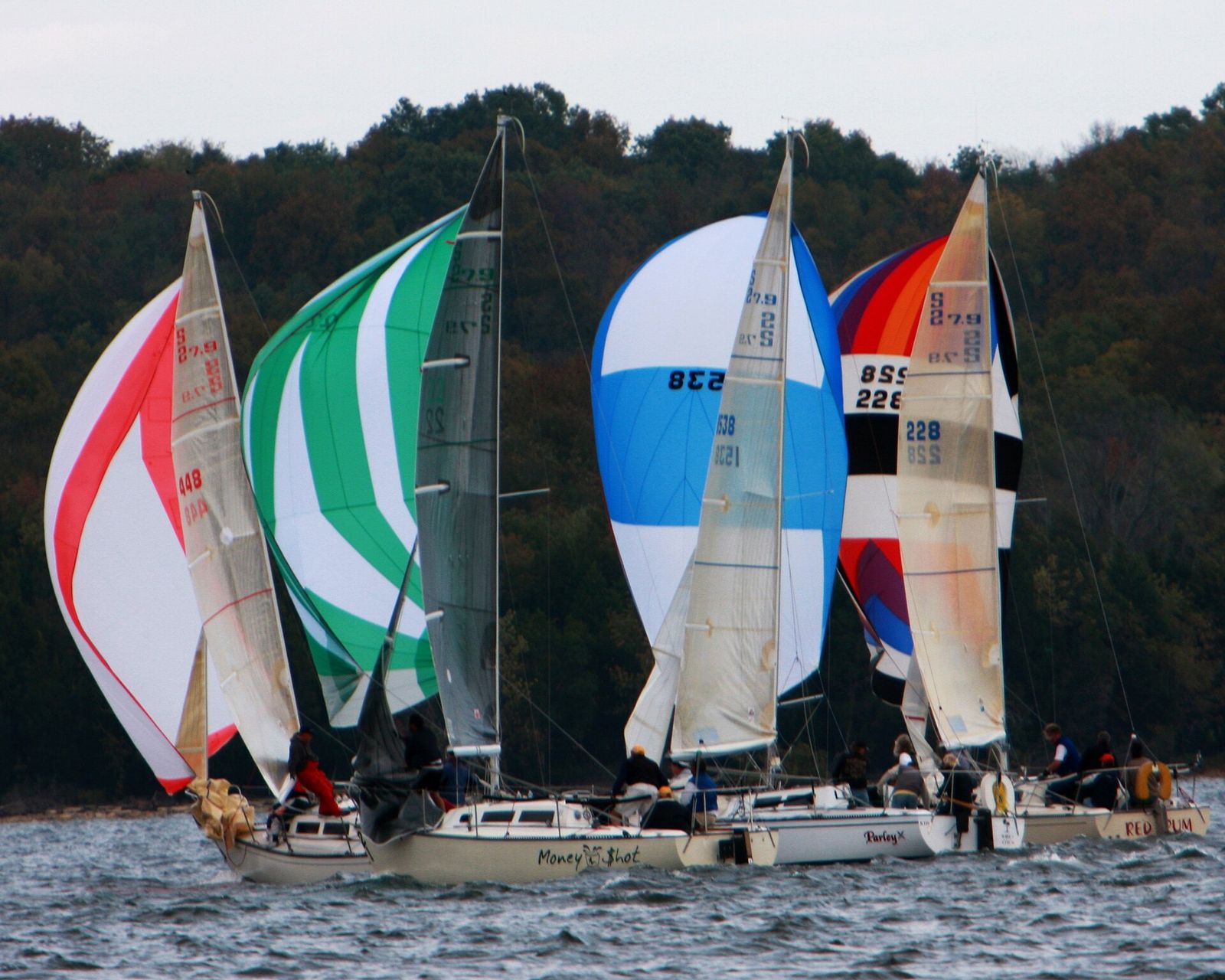 Sailboats with colorful spinnakers racing on Percy Priest Lake