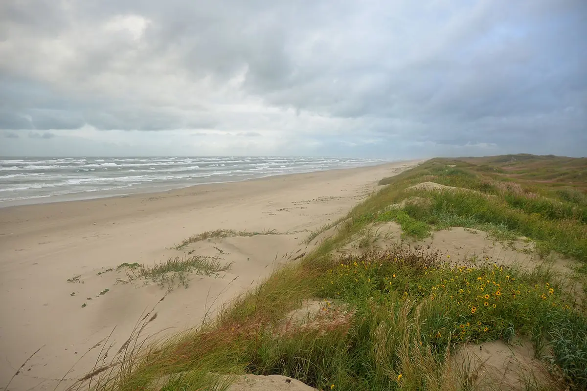 Open beach and grass-covered dunes at Padre Island National Seashore, south of Corpus Christi