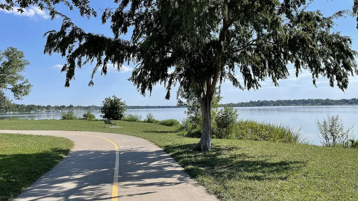 A paved trail curving past a shade tree toward the water at White Rock Lake in East Dallas