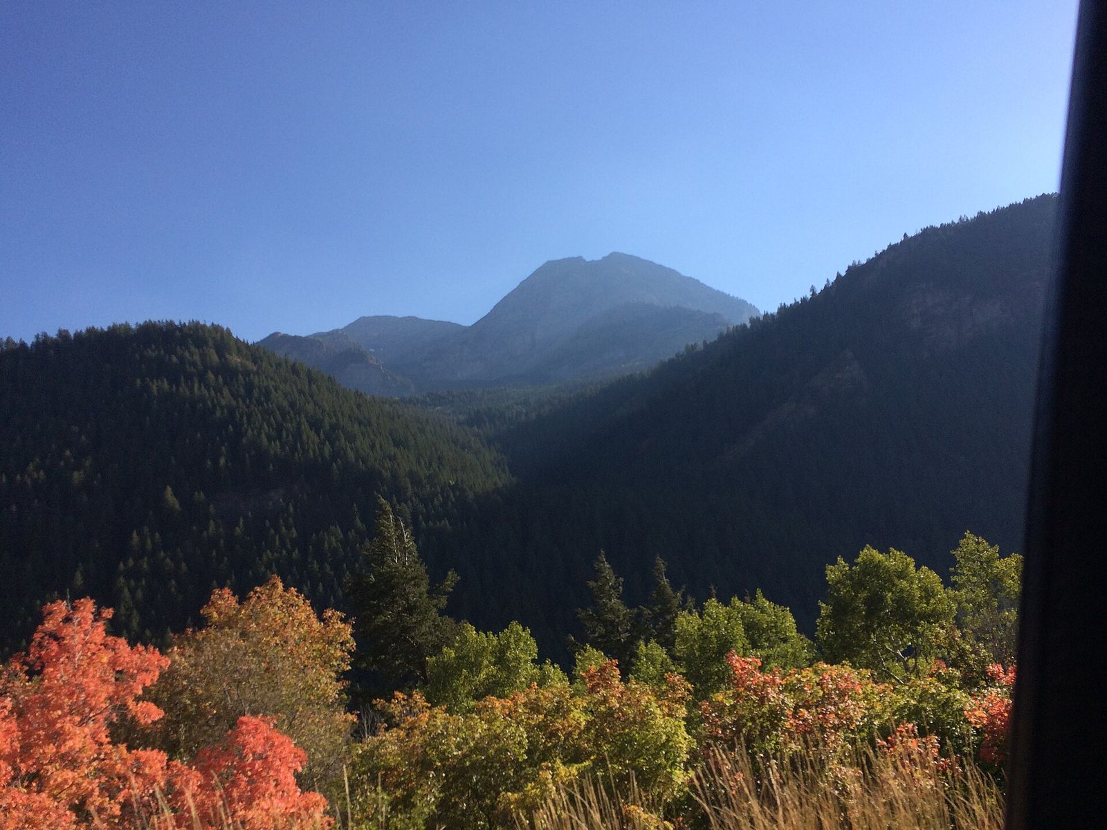 Red and orange fall leaves below forested ridges in American Fork Canyon