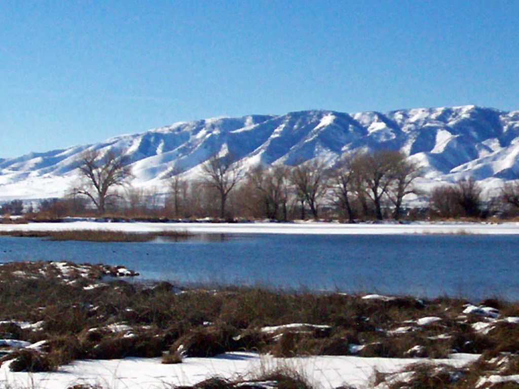 The Mill Pond in Lehi on a winter day, with bare trees along the bank