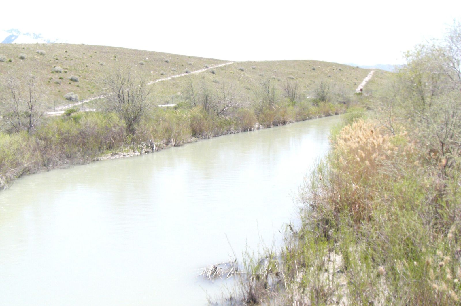 The Jordan River in Midvale with a trail on its grassy east bank