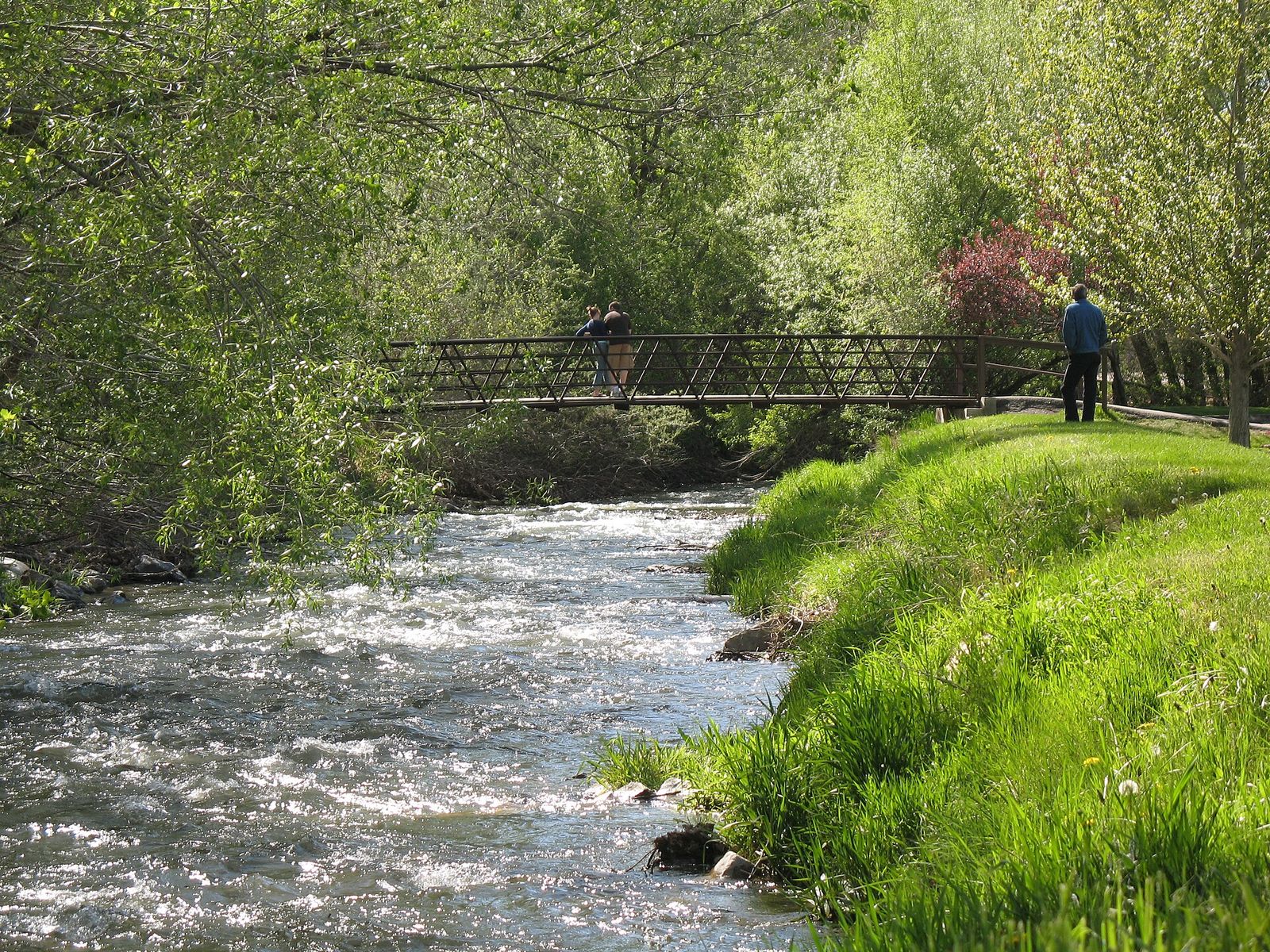 Little Cottonwood Creek running past green banks and a footbridge in Murray City Park