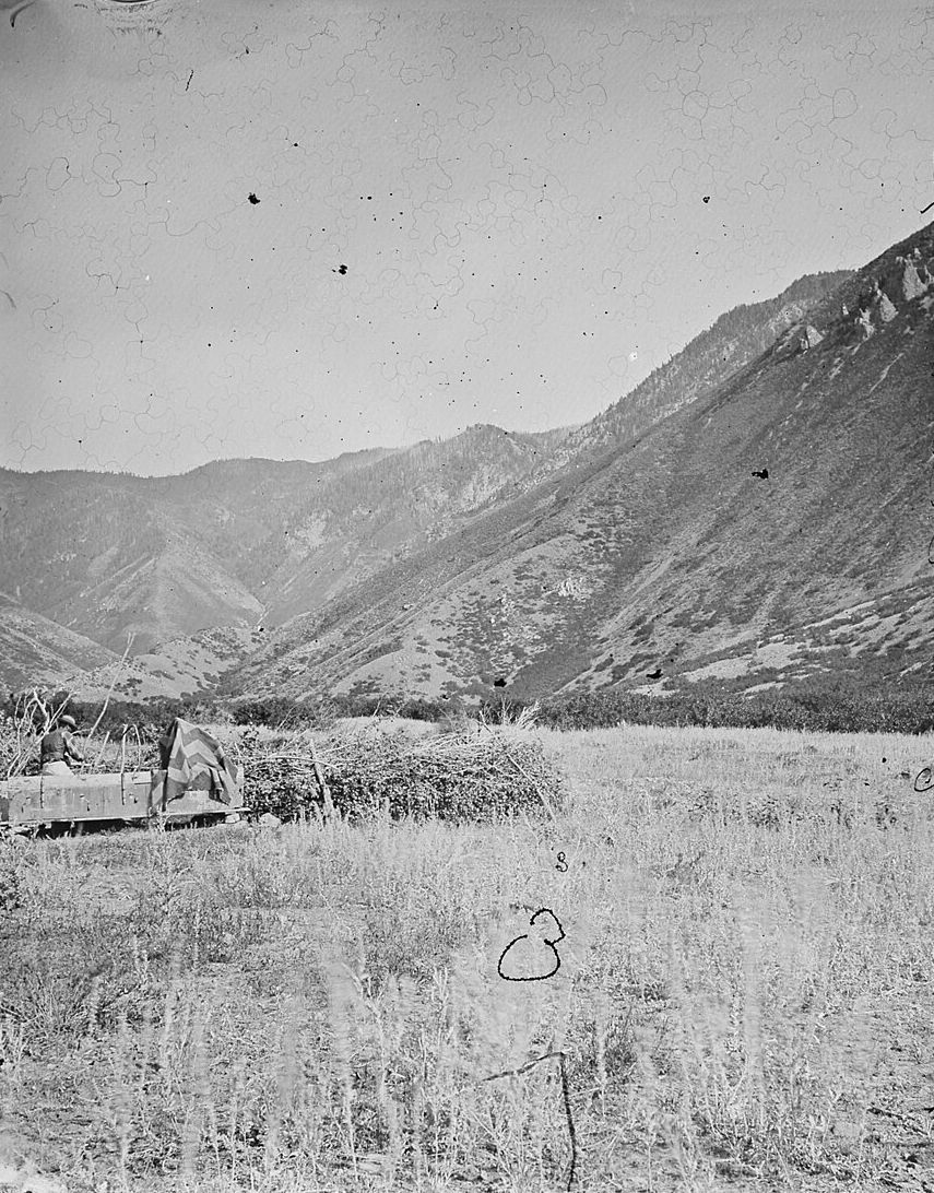 An 1872 photograph of a loaded wagon on a grassy meadow below the steep foothills of Mount Nebo