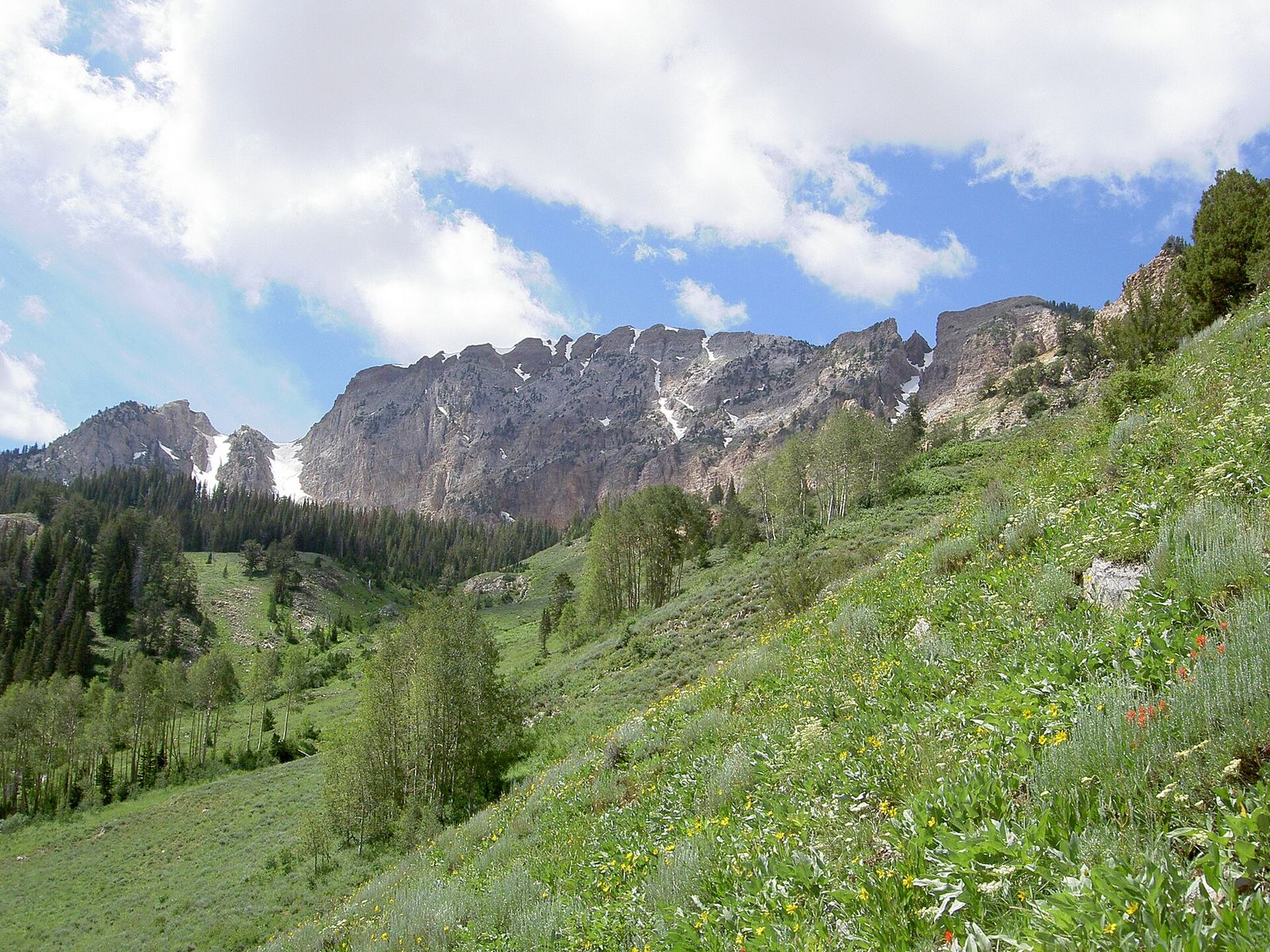 Green slopes rising to the rocky summit ridge of Deseret Peak in the Stansbury Mountains