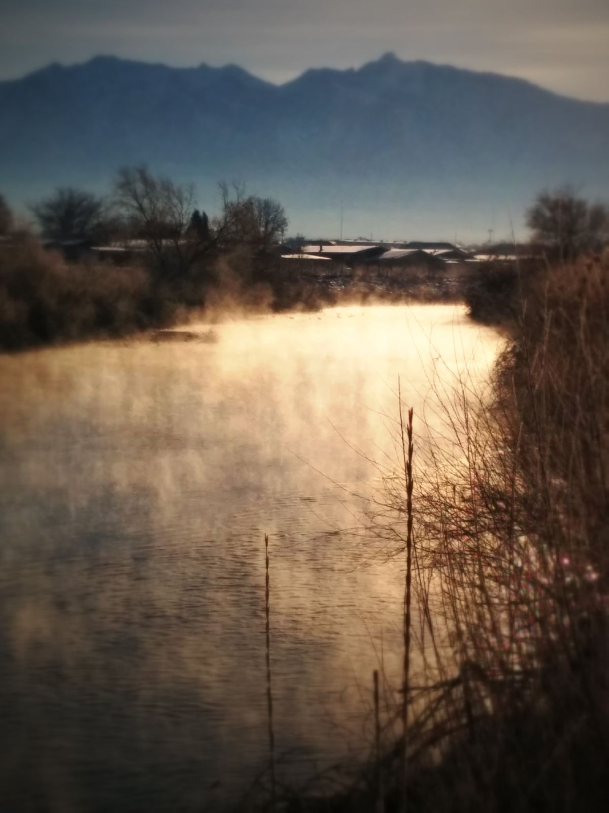 Mist rising off the Jordan River on a winter afternoon, with bare trees and mountains behind
