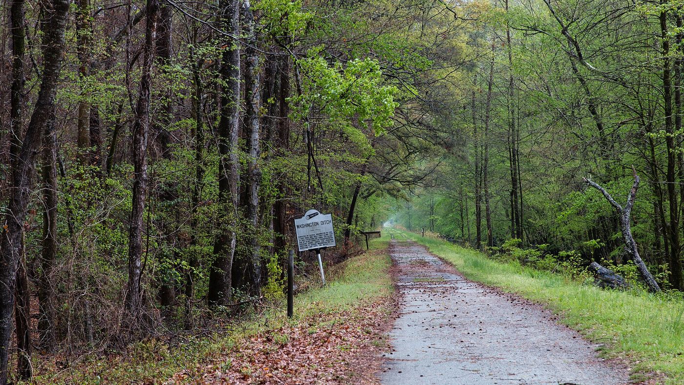 Gravel trail beside the Washington Ditch in the Great Dismal Swamp National Wildlife Refuge