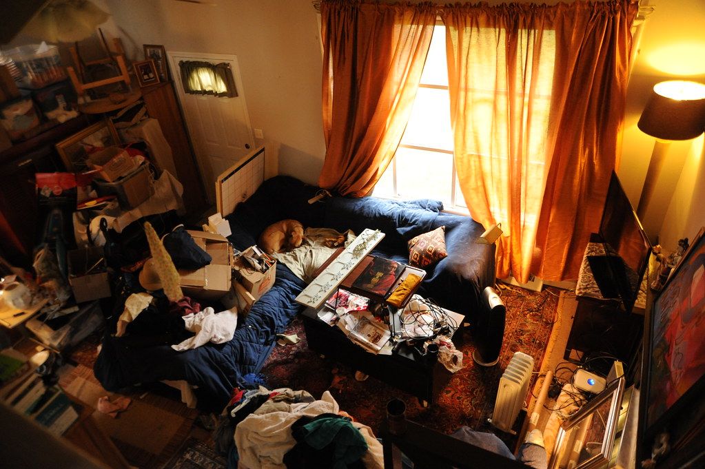 Dog sleeping on a sofa in a living room just after a move