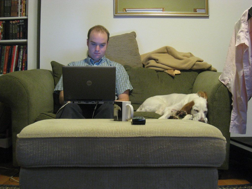Man on a green sofa using a laptop while a small dog sleeps beside him