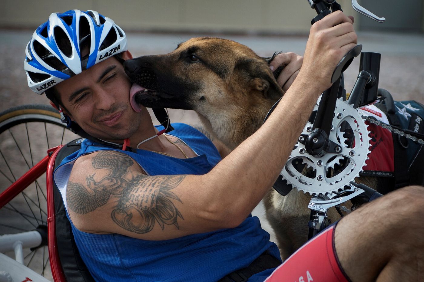 Service dog leaning in to lick the face of a smiling adaptive cyclist
