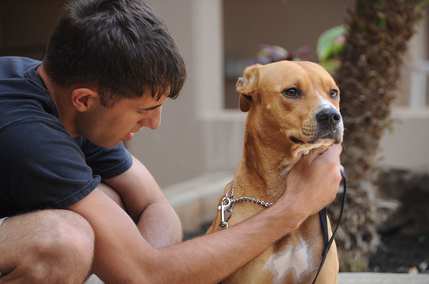 Young service member kneeling and petting a tan service dog