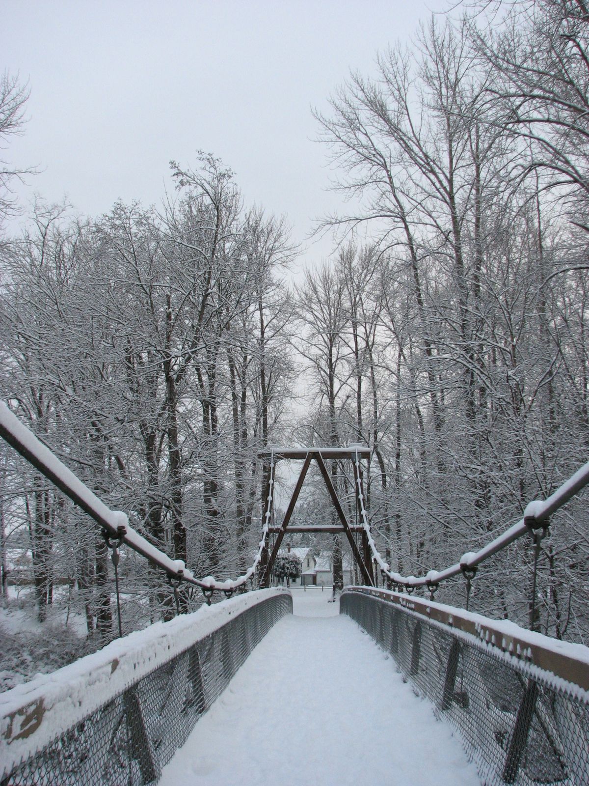 A footbridge covered in snow among bare trees in Auburn