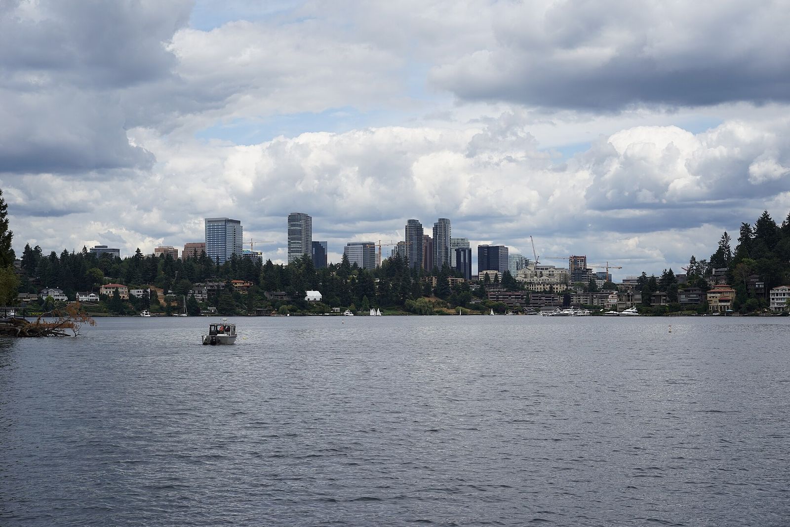 The Bellevue skyline seen across Lake Washington
